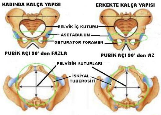 Kalça Kemiği Batması Tedavisi