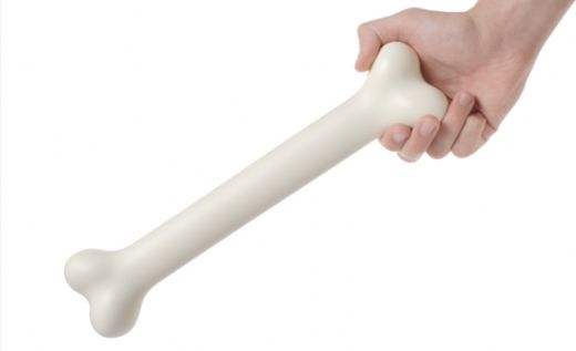 Kemik Türleri ve Özellikleri